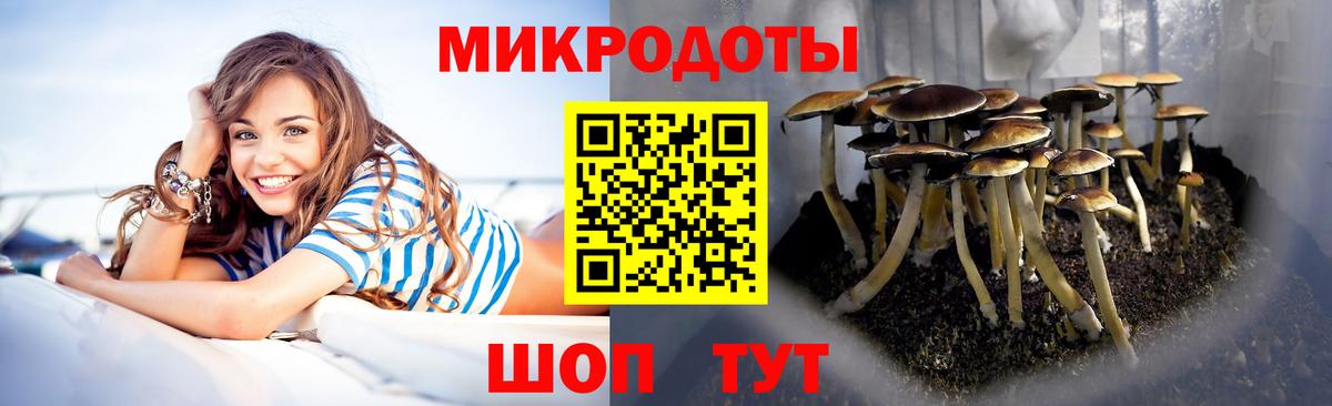 Псилоцибиновые грибы ЛСД  Вход с VPN  Нефтекамск  Псилоцибиновые грибы Psilocybe 